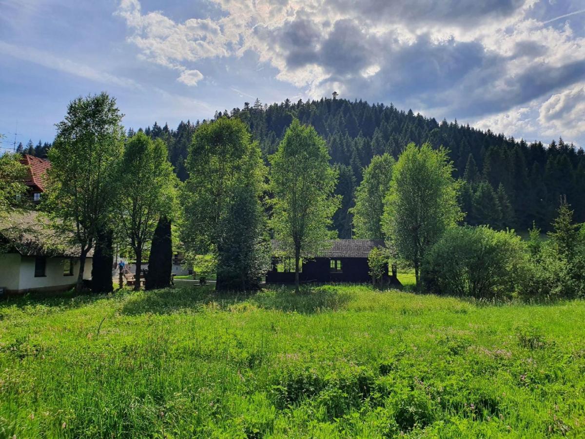 Finkenhof Hotell Schluchsee Eksteriør bilde